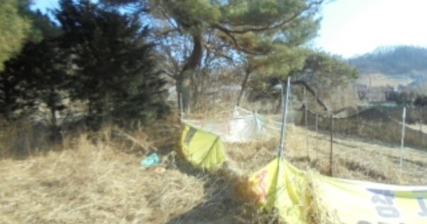 충청북도 음성군 감곡면 오향리 OOOO O OOO 답 경매 물건 이미지