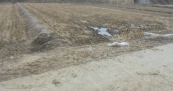 충청북도 충주시 신니면 원평리 OO O OOO 답 경매 물건 이미지