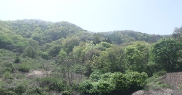 전북특별자치도 임실군 신평면 용암리 OOOO 임야 경매 물건 이미지