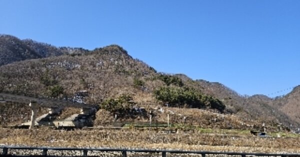강원특별자치도 삼척시 도계읍 발이리 OOOO 임야 경매 물건 이미지