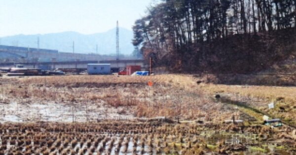 강원특별자치도 강릉시 운산동 OOOOO 답 경매 물건 이미지