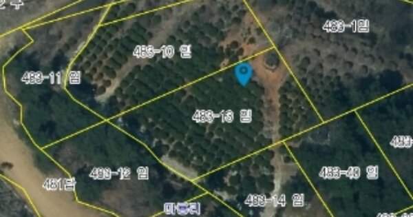충청남도 서산시 부석면 마룡리 OOOOOO 임야 경매 물건 이미지