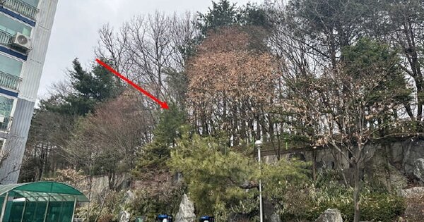경기도 광주시 양벌동 OOOOOO 임야 경매 물건 이미지