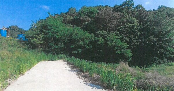 충청북도 청주시 청원구 북이면 석성리 OOOOO O OOO 임야 경매 물건 이미지