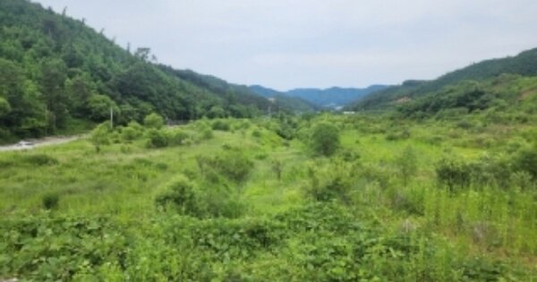 충청북도 괴산군 청안면 부흥리 OOO O OOO 임야 경매 물건 이미지