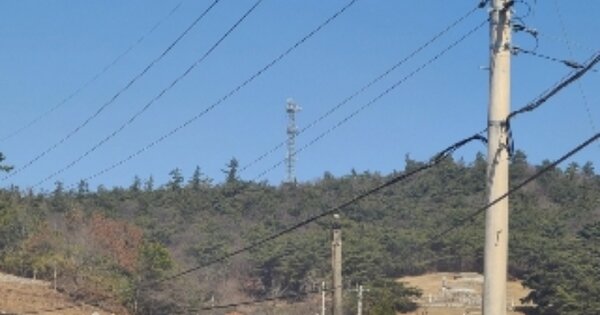 전라남도 화순군 도곡면 효산리 OO 임야 경매 물건 이미지