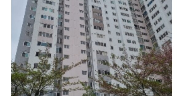 광주광역시 서구 금호동 240-2 종원팰리스빌아파트 113동 OOO OOOOO O OOO 아파트 경매 물건 이미지