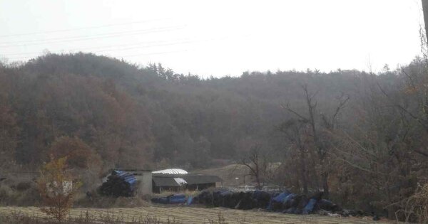 충청남도 부여군 장암면 하황리 OOO 임야 경매 물건 이미지