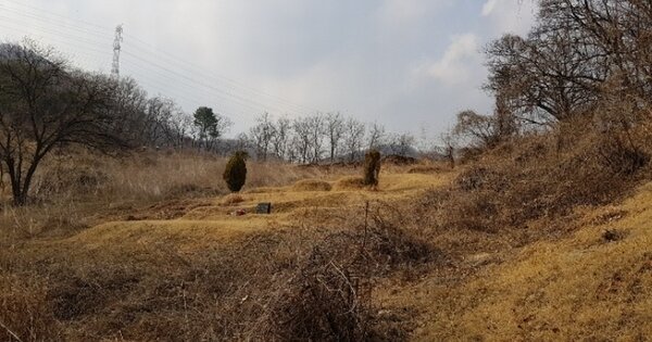 경기도 양주시 광적면 효촌리 OOOOO 전 경매 물건 이미지