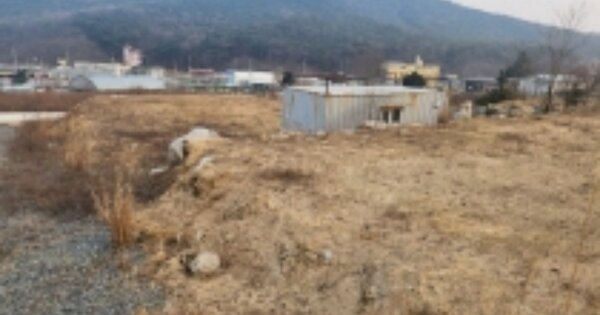 경상북도 경주시 충효동 OOOOOOO O OOO 임야 경매 물건 이미지