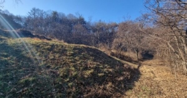 충청북도 청주시 흥덕구 옥산면 사정리 OOOOO O OOO 전 경매 물건 이미지