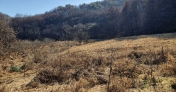 충청북도 청주시 흥덕구 옥산면 사정리 OOO 답 경매 물건 이미지