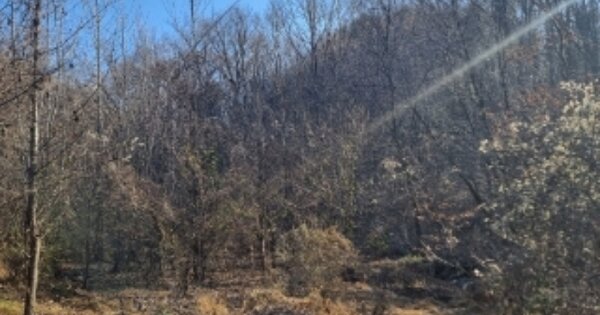 충청북도 청주시 흥덕구 옥산면 사정리 OOO 답 경매 물건 이미지