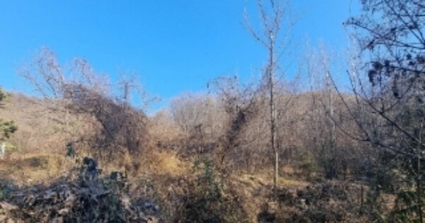 충청북도 청주시 흥덕구 옥산면 사정리 OOO 답 경매 물건 이미지