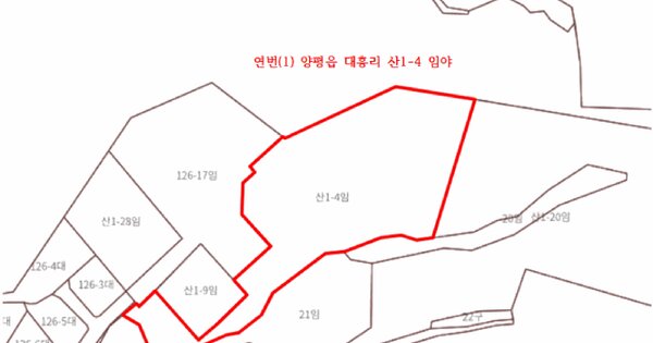 경기도 양평군 양평읍 대흥리 산1-4  미지정 경매 물건 이미지