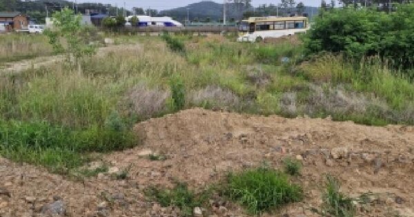 충청남도 서천군 서면 신합리 530-64  미지정 경매 물건 이미지