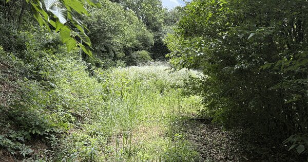충청남도 당진시 고대면 진관리 744-3  미지정 경매 물건 이미지