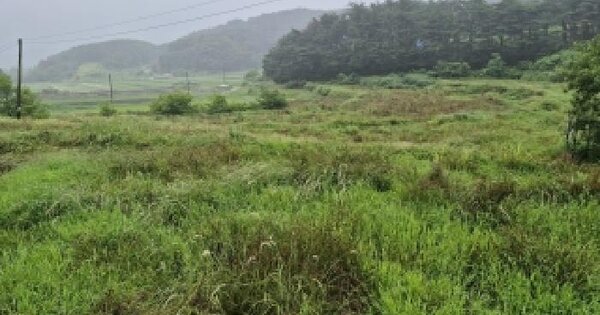 충청남도 보령시 청라면 의평리 364  미지정 경매 물건 이미지