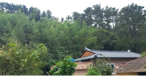경상남도 거제시 능포동 OOOOOO O OOO 전 경매 물건 이미지