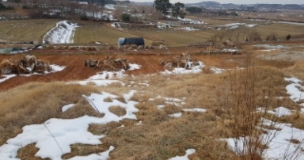전라북도 고창군 해리면 금평리 OOO 임야 경매 물건 이미지