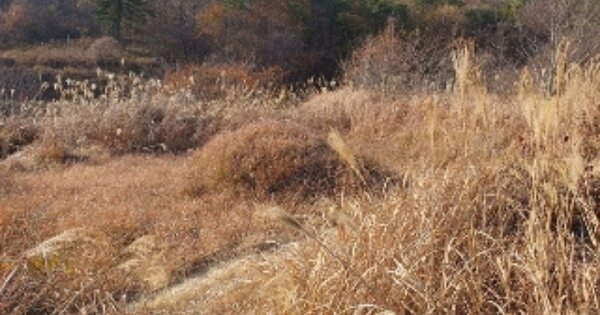 경상남도 창원시 마산합포구 구산면 내포리 OOO 전 경매 물건 이미지