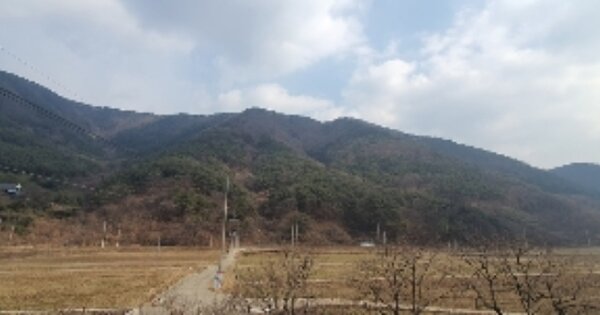 경상남도 의령군 가례면 개승리 OOO 임야 경매 물건 이미지