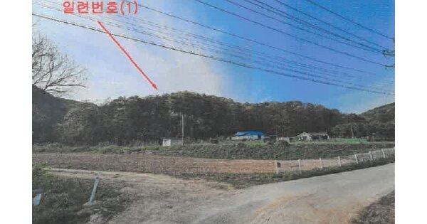강원도 원주시 지정면 판대리 OOOOO O OOO 임야 경매 물건 이미지