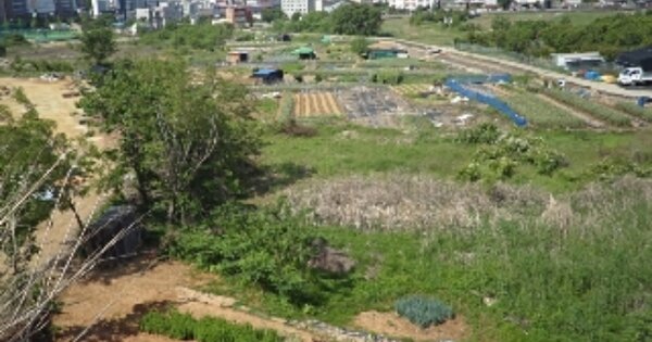 경상남도 밀양시 교동 OOO 답 경매 물건 이미지