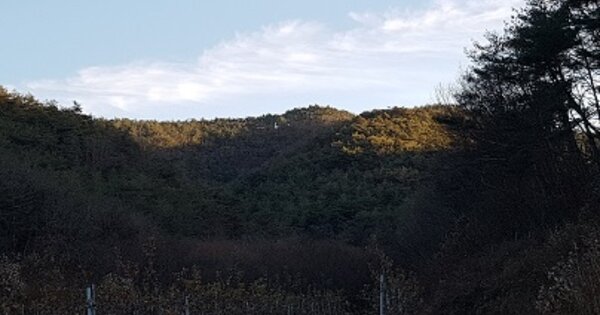 경상북도 의성군 점곡면 윤암리 OOOO 전 경매 물건 이미지