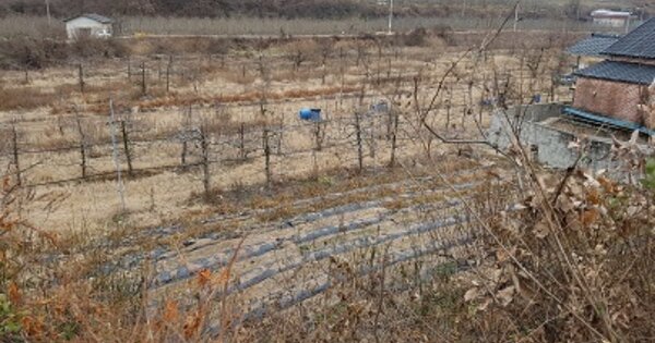 경상북도 청송군 현동면 개일리 OOOO 과수원 경매 물건 이미지