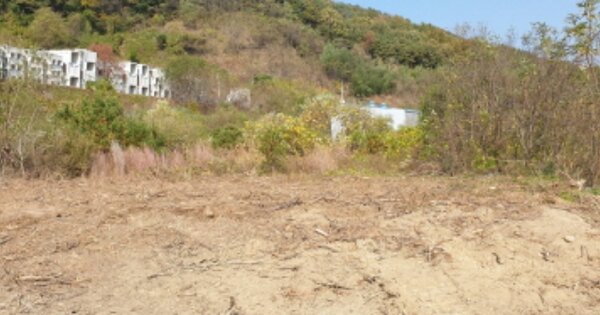 경상남도 함양군 지곡면 시목리 OOO 공장용지 경매 물건 이미지