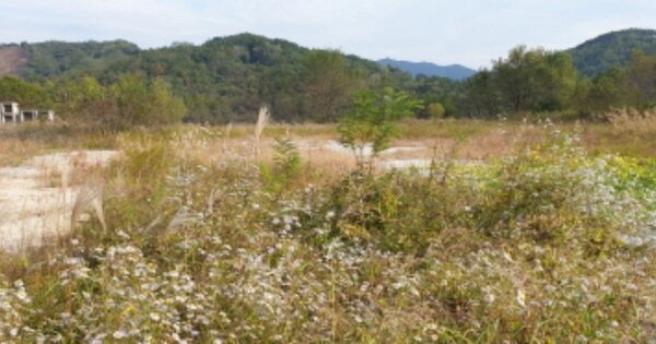 경상남도 함양군 지곡면 시목리 OOO 공장용지 경매 물건 이미지