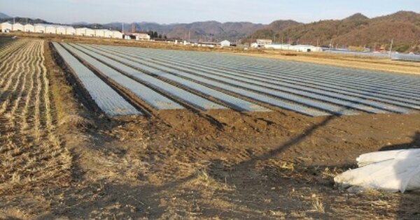 충청남도 공주시 정안면 북계리 OOOOO O OOO 답 경매 물건 이미지