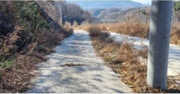 전라북도 장수군 장수읍 식천리 OOOOOO O OOO 과수원 경매 물건 이미지