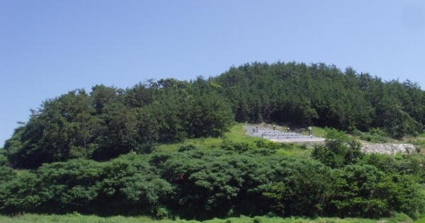 전라남도 완도군 고금면 가교리 OOOOO 임야 경매 물건 이미지