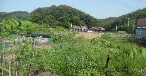 충청남도 당진시 정미면 봉생리 OOOOO O OOO 전 경매 물건 이미지