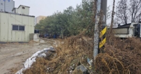 충청북도 제천시 강제동 OOOOO 답 경매 물건 이미지