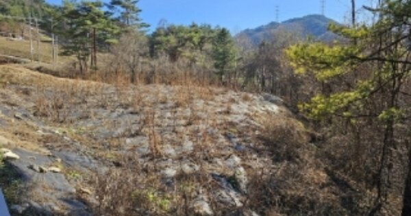 강원특별자치도 정선군 화암면 호촌리 OOOOO 임야 경매 물건 이미지