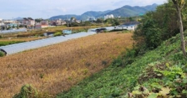 경상북도 안동시 송천동 OOO 과수원 경매 물건 이미지