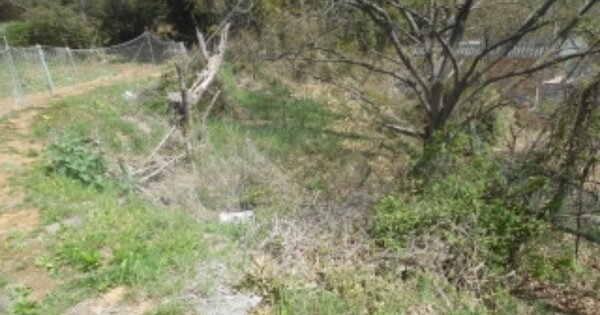 충청남도 당진시 석문면 장고항리 OOO 전 경매 물건 이미지