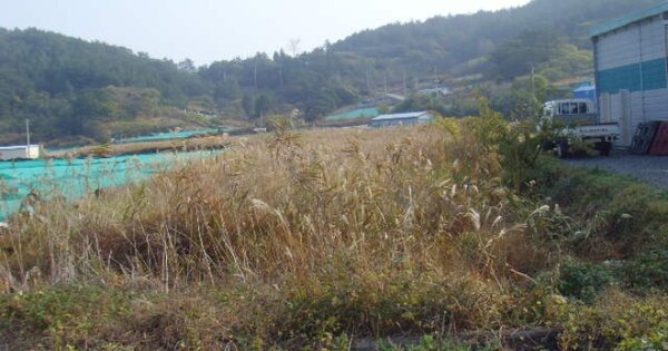 전라남도 완도군 금일읍 척치리 OOOOOOO 답 경매 물건 이미지