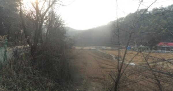 강원특별자치도 영월군 한반도면 신천리 OOO O OOO 전 경매 물건 이미지