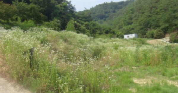 경상남도 진주시 미천면 어옥리 OO O OOO 답 경매 물건 이미지