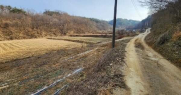 경상북도 안동시 임하면 임하리 OOO O OOO 답 경매 물건 이미지