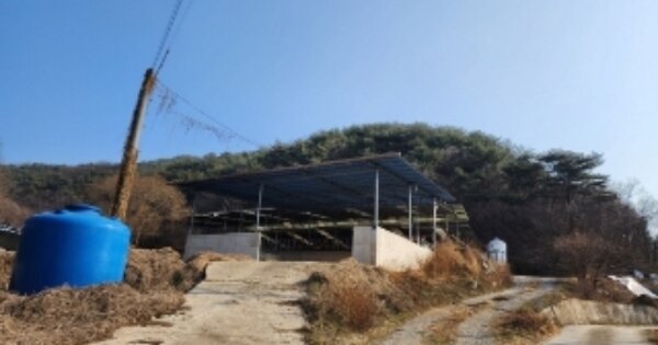 경상북도 안동시 녹전면 원천리 OOO 동물 및 식물 관련시설 경매 물건 이미지