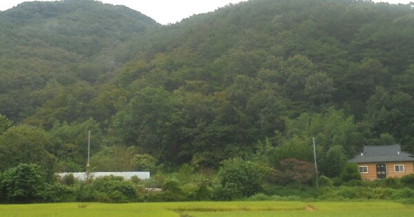 경상남도 창원시 마산합포구 진전면 고사리 OOOOOO 대지 경매 물건 이미지