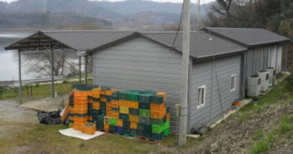 전라북도 고창군 공음면 두암리 OOOOO 창고용지 경매 물건 이미지
