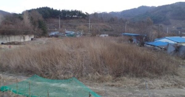 강원특별자치도 원주시 소초면 의관리 OOO 전 경매 물건 이미지