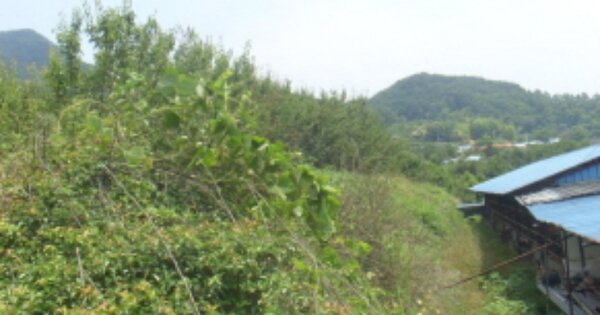 경상남도 하동군 고전면 신월리 OOOOO 답 경매 물건 이미지