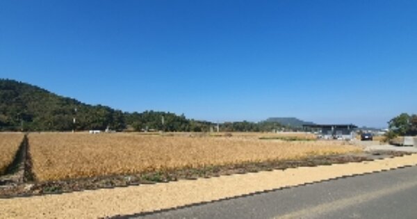 경상남도 함안군 가야읍 도항리 OOOOOO 답 경매 물건 이미지